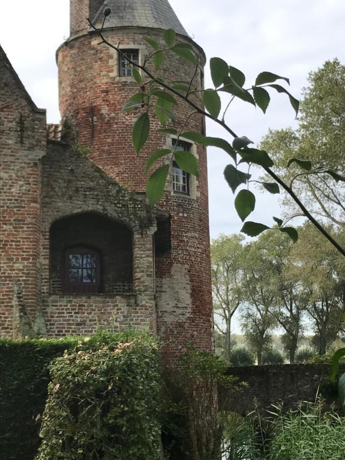 De Levensboom - Het Oud Gemeentehuis Damme Eksteriør billede
