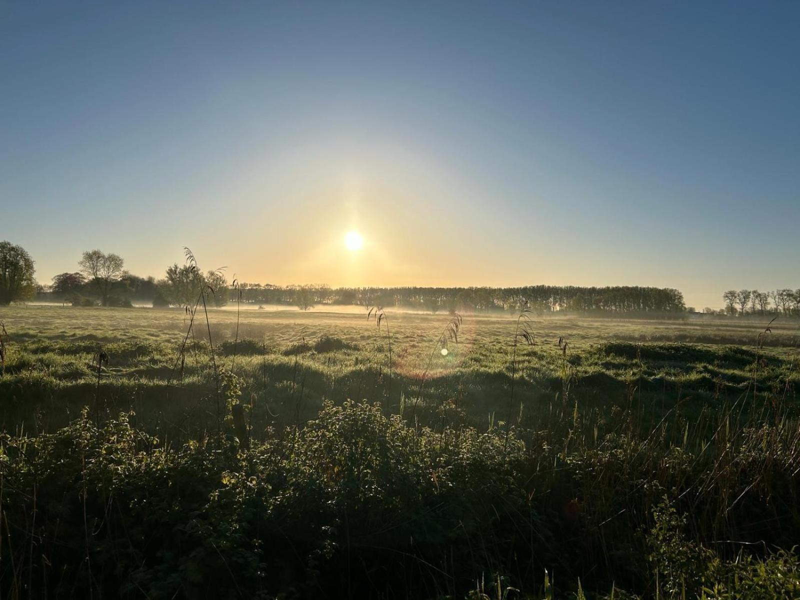 De Levensboom - Het Oud Gemeentehuis Damme Eksteriør billede